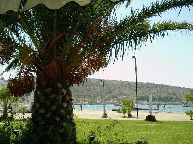 Tuemay Hotel Bitez Bagian luar foto